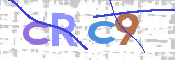 Image Anti-spam